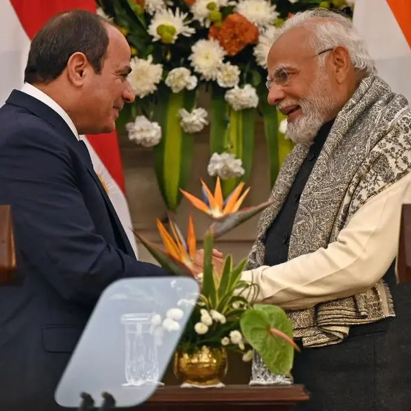 India, Egypt expect bilateral trade to reach $12bln in next five years