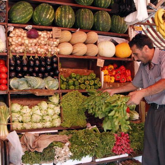 Global food prices rise in January