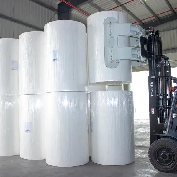 Star Paper Mills to announce switch on of $54mln recycled container board mill in KEZAD at ProPaper 2025