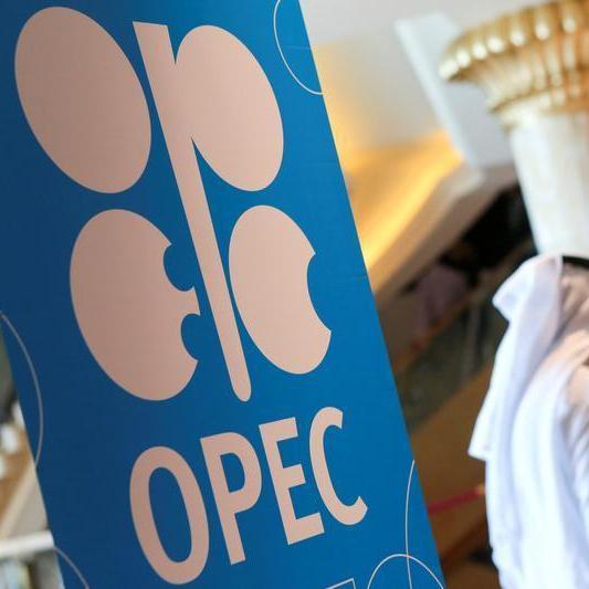 OPEC+ policies not to blame for surge in crude prices - sources