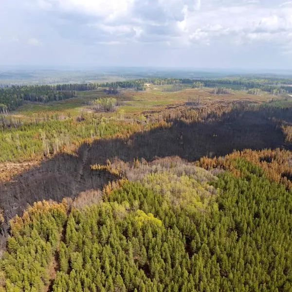 Canada sends in army to battle Alberta wildfires