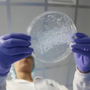 Benta Pharma Industries reaches promising results in studies aimed at eradicating diabetes