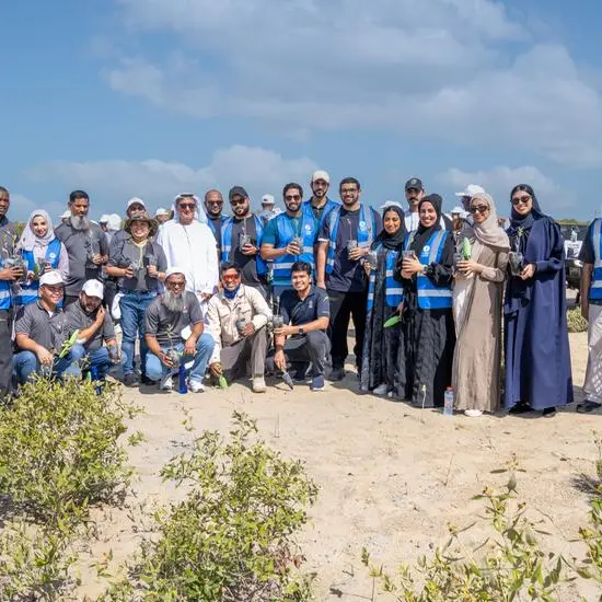 ENOC employees plant mangroves on World Environment Day 2024