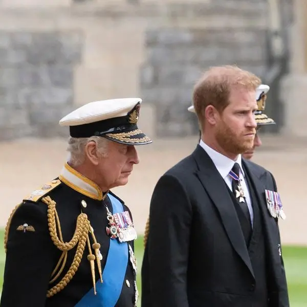 King Charles plans to sideline Harry, Andrew as royal stand-ins: reports