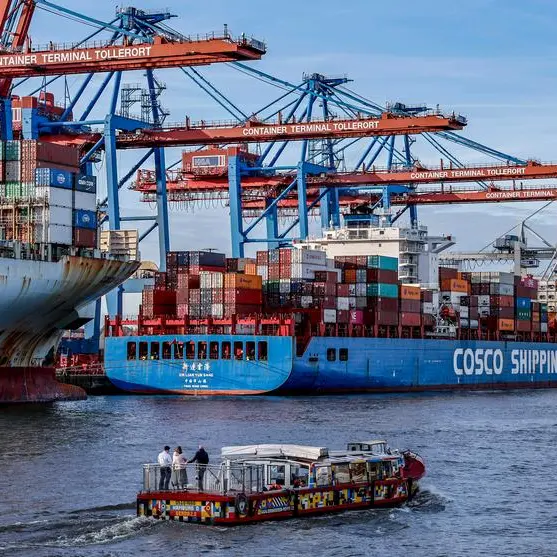 Germany reviews controversial Chinese stake in Hamburg port