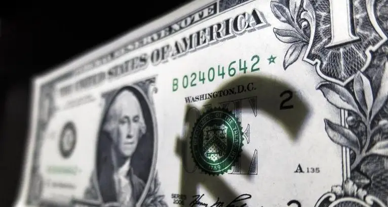 Dollar hovers near highs as investors parse China's stimulus plans; euro slips