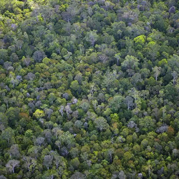 France pledges $106mln to protect tropical forests