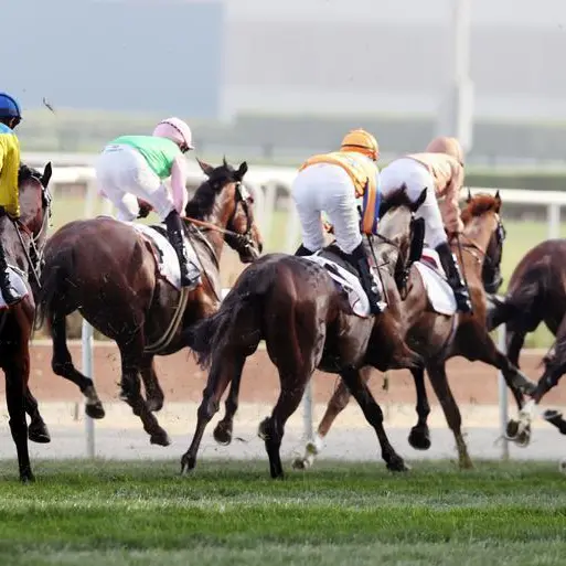 Family syndicate dream big as Meydan season kicks off