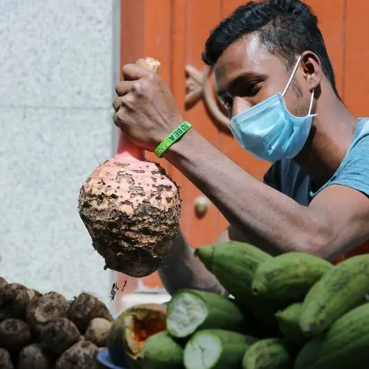 First Food Truck fruit and vegetable market in Saudi Arabia