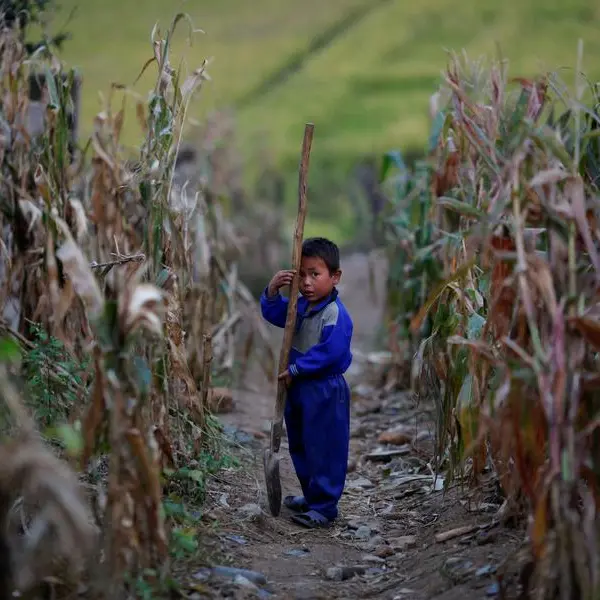 North Korean food shortage seems to be worsening, South Korea says