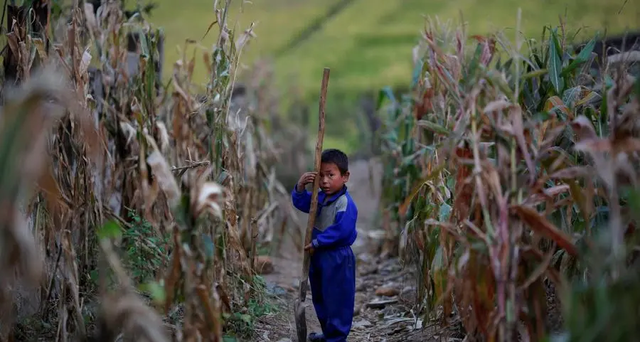 North Korean food shortage seems to be worsening, South Korea says