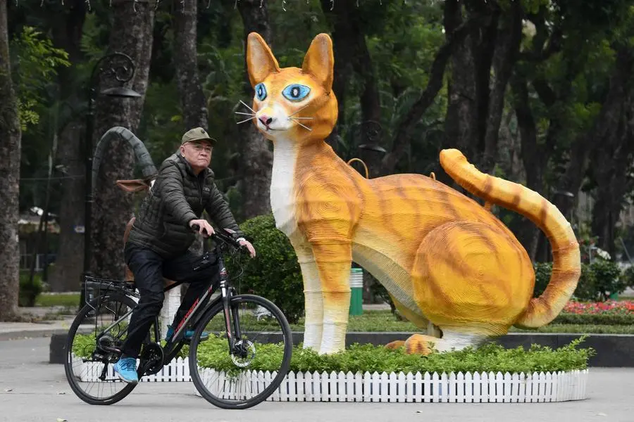Why Vietnam is celebrating the Year of the Cat, not the Rabbit
