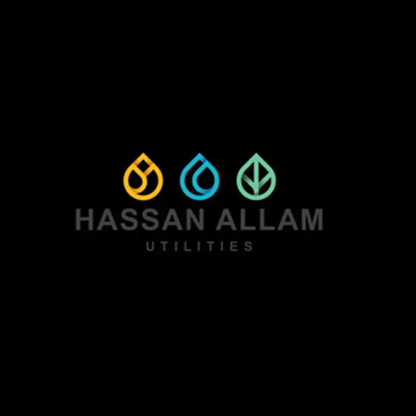 Hassan Allam Utilities Energy and Infinity Power sign power purchase agreements with Egypt's Ministry of Electricity