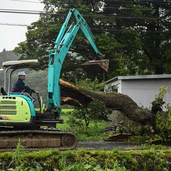 Powerful Typhoon Shanshan slams into southern Japan