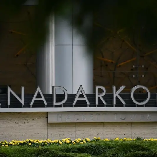 Algeria to block Total from buying Anadarko's Algerian assets - minister