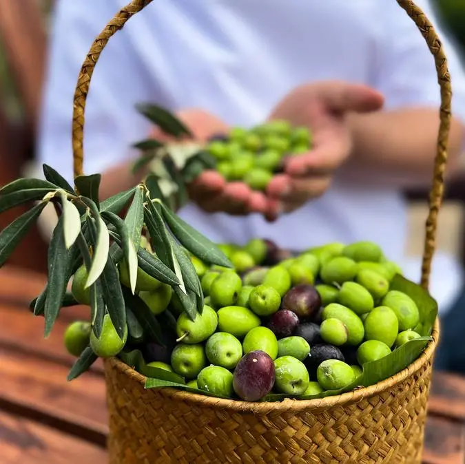 Celebrate the Olive Harvest Festival at Anantara Al Jabal Al Akhdar