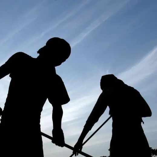 India to invest overseas, seek long-term deals in push for fertiliser