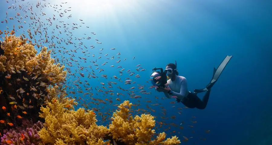 NEOM collaborates with Dive Butler International