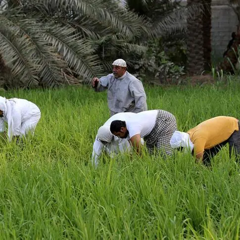 Saudi Arabia sharpens its focus on food security and agribusiness