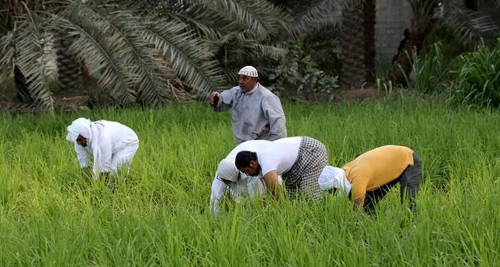 Saudi Arabia sharpens its focus on food security and agribusiness