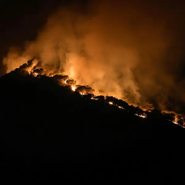 Spain, Portugal battle wildfires as heatwaves scorch southern Europe