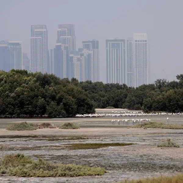 UAE: Ministry announces campaign to help residents cope with extreme heat this summer