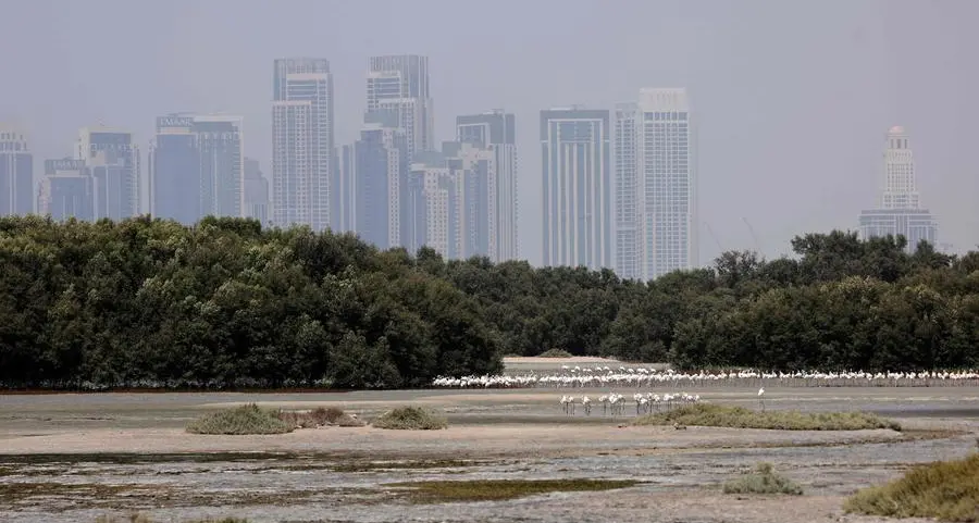 UAE: Ministry announces campaign to help residents cope with extreme heat this summer