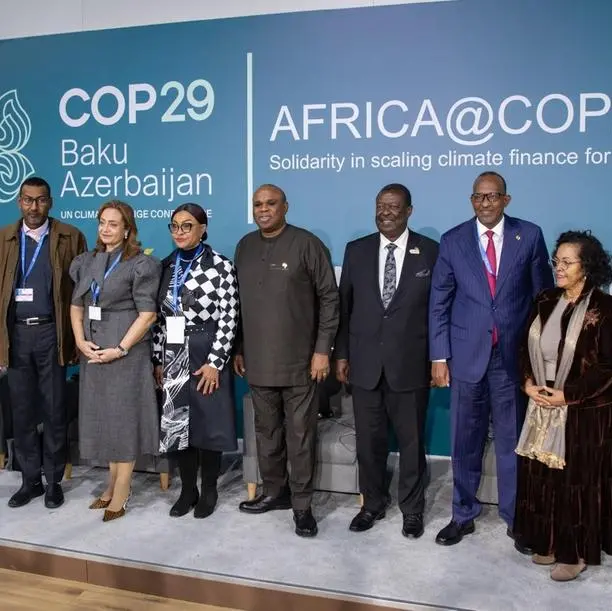 Afreximbank asserts Africa’s climate position at COP29