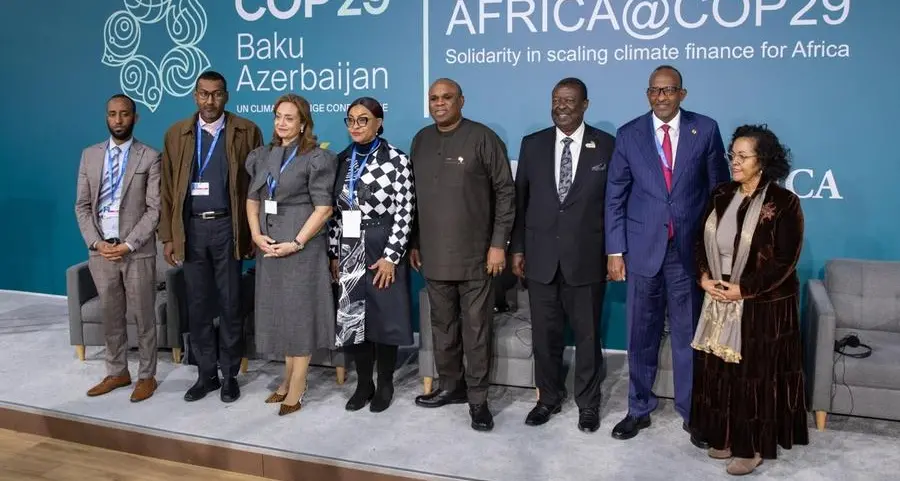 Afreximbank asserts Africa’s climate position at COP29