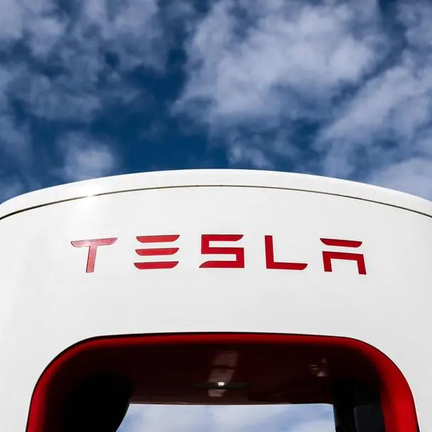 Tesla to open plant in northern Mexico, government says