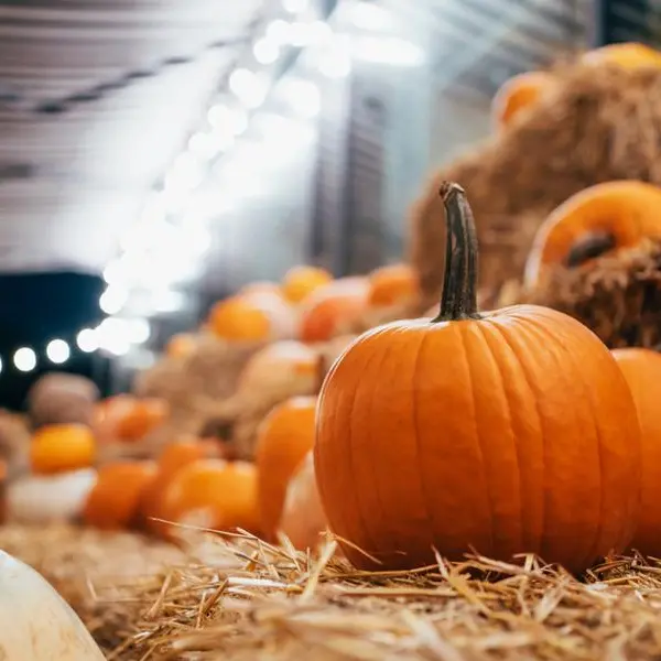 Halloween in UAE: Medical experts provide tips on how to keep your blood sugar levels in check
