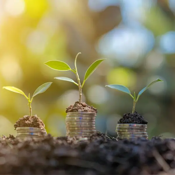 Billionaire wealth surges by $2trln in 2024