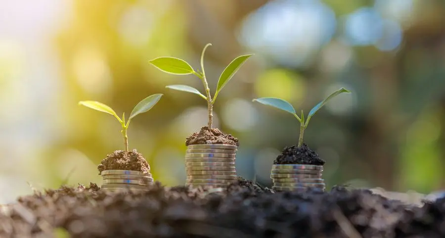 Billionaire wealth surges by $2trln in 2024