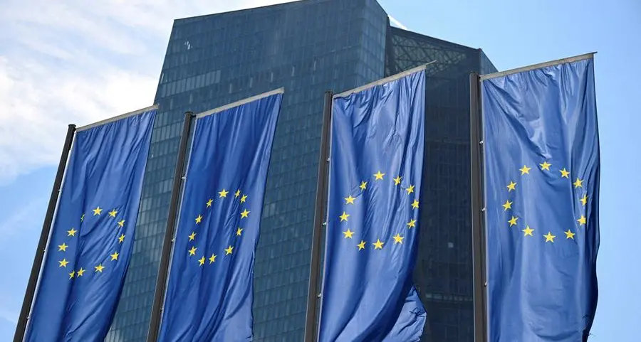 ECB's not in business of stopping cross border bank mergers, Buch says