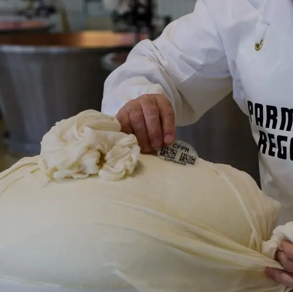 Consorzio del Parmigiano Reggiano, p-Chip Corporation, and Kaasmerk Matec for partnership