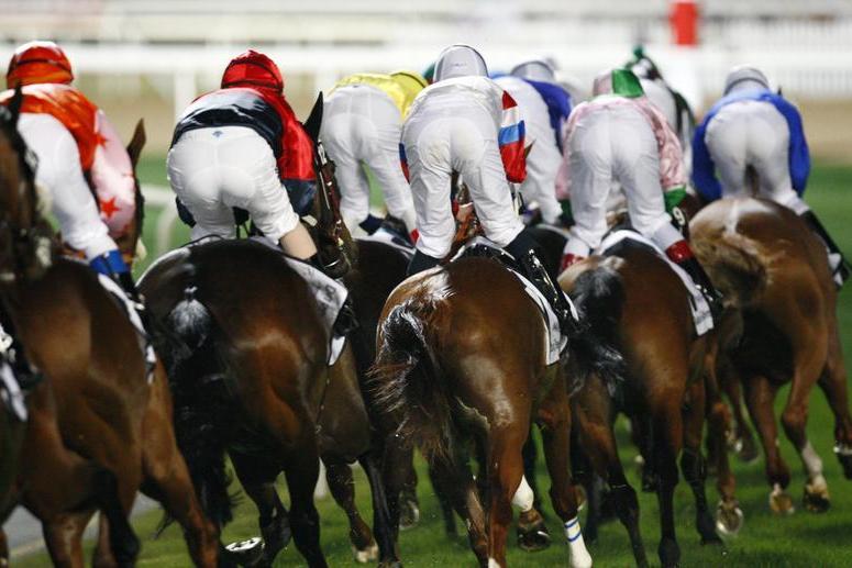يأمل Crisford أن يصل “حصان الشعب في دبي” إلى قمة السباقات