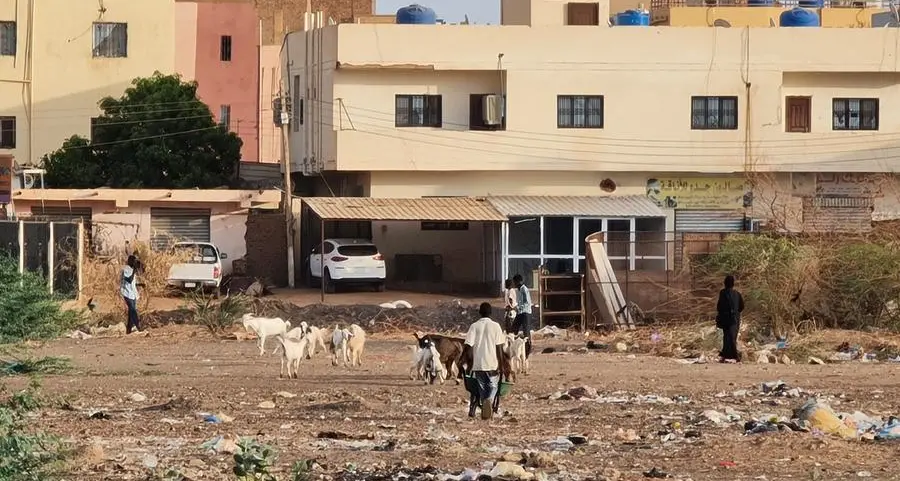 War hits sowing season in Sudan breadbasket, fuelling famine fears