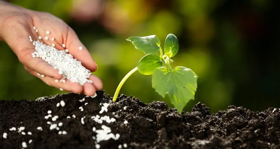 GAIA BioMaterials secures European patent for PLA-free film extrusion materials
