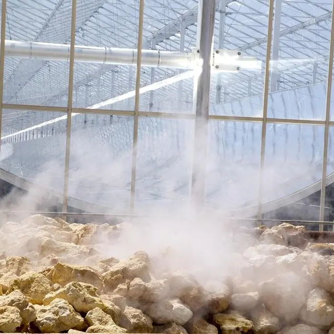 UAE's RAK rubber factory turns to solar thermal plant as cheaper alternative to diesel