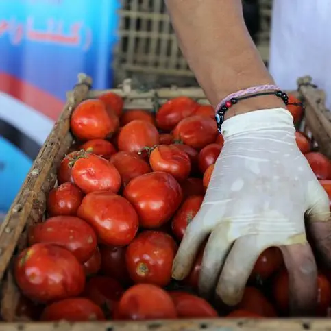 اليابان ترفع حظر الاستيراد عن منتجات زراعية مصرية