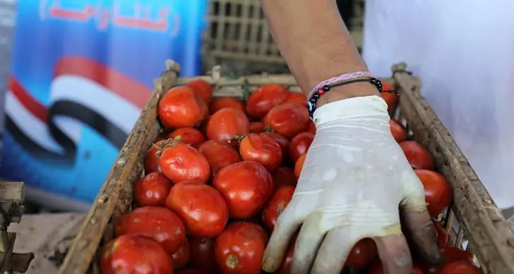 اليابان ترفع حظر الاستيراد عن منتجات زراعية مصرية