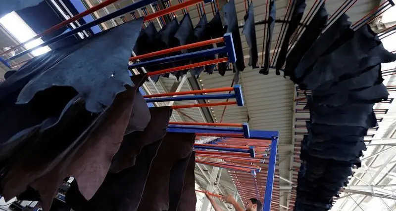 Economic Boost: Egypt’s Leather Industry on the Move