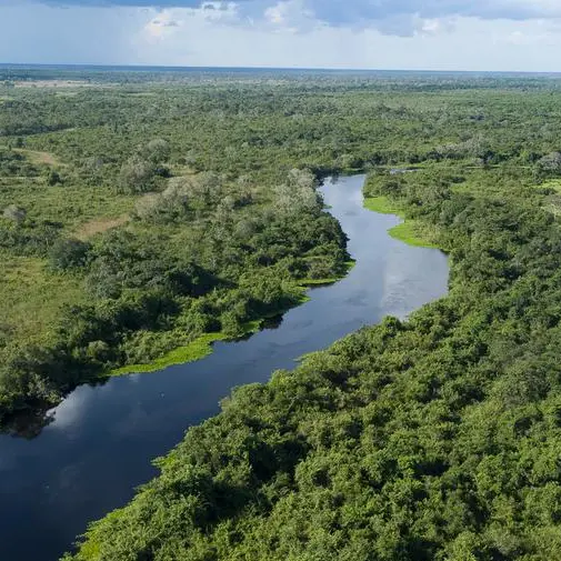 Four reasons to visit the world’s largest tropical wetland