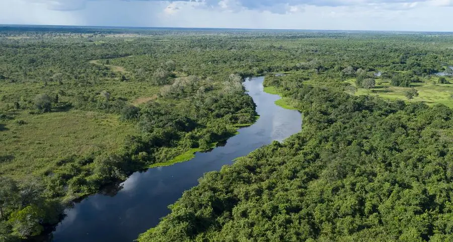 Four reasons to visit the world’s largest tropical wetland