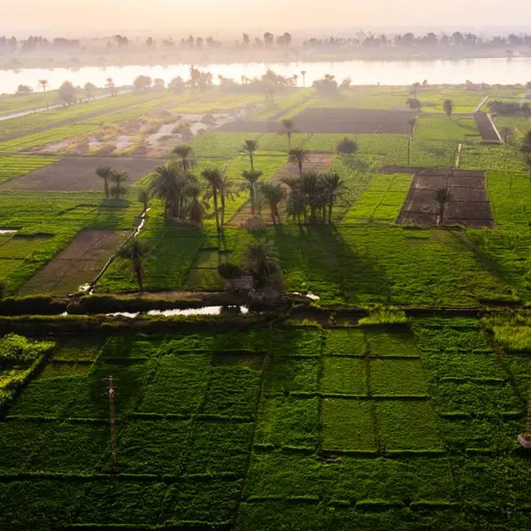 Al-Sisi inaugurates New Delta project with investments nearing $15bln