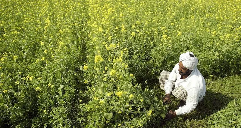 Climate-stressed Indian farmers seek to escape debt and suicide