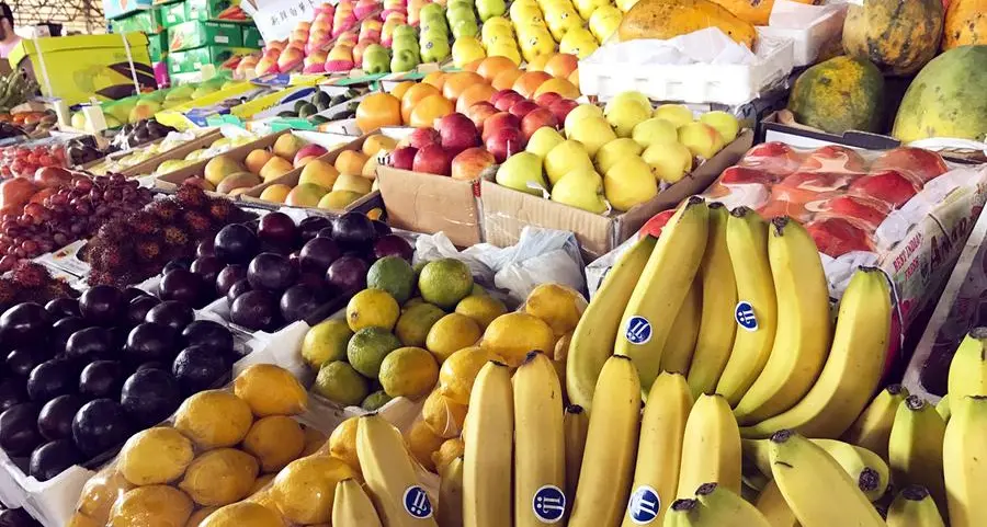 Dubai: Veggies and fruits from world's largest vertical farm will soon be available in stores