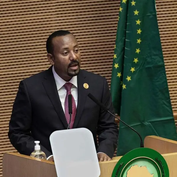 Ethiopia warns UN-backed probe could 'undermine' peace process