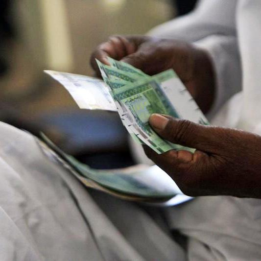 Sudan to seek $1bln deposit in central bank - state news agency