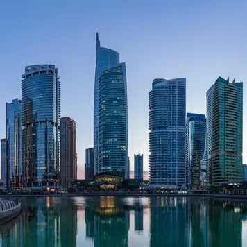 Dubai's DMCC, India's BSAF to boost UAE agri commodities trade with South Asia